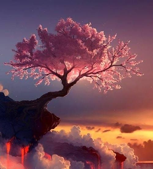 photo voyance arbre fleurs roses